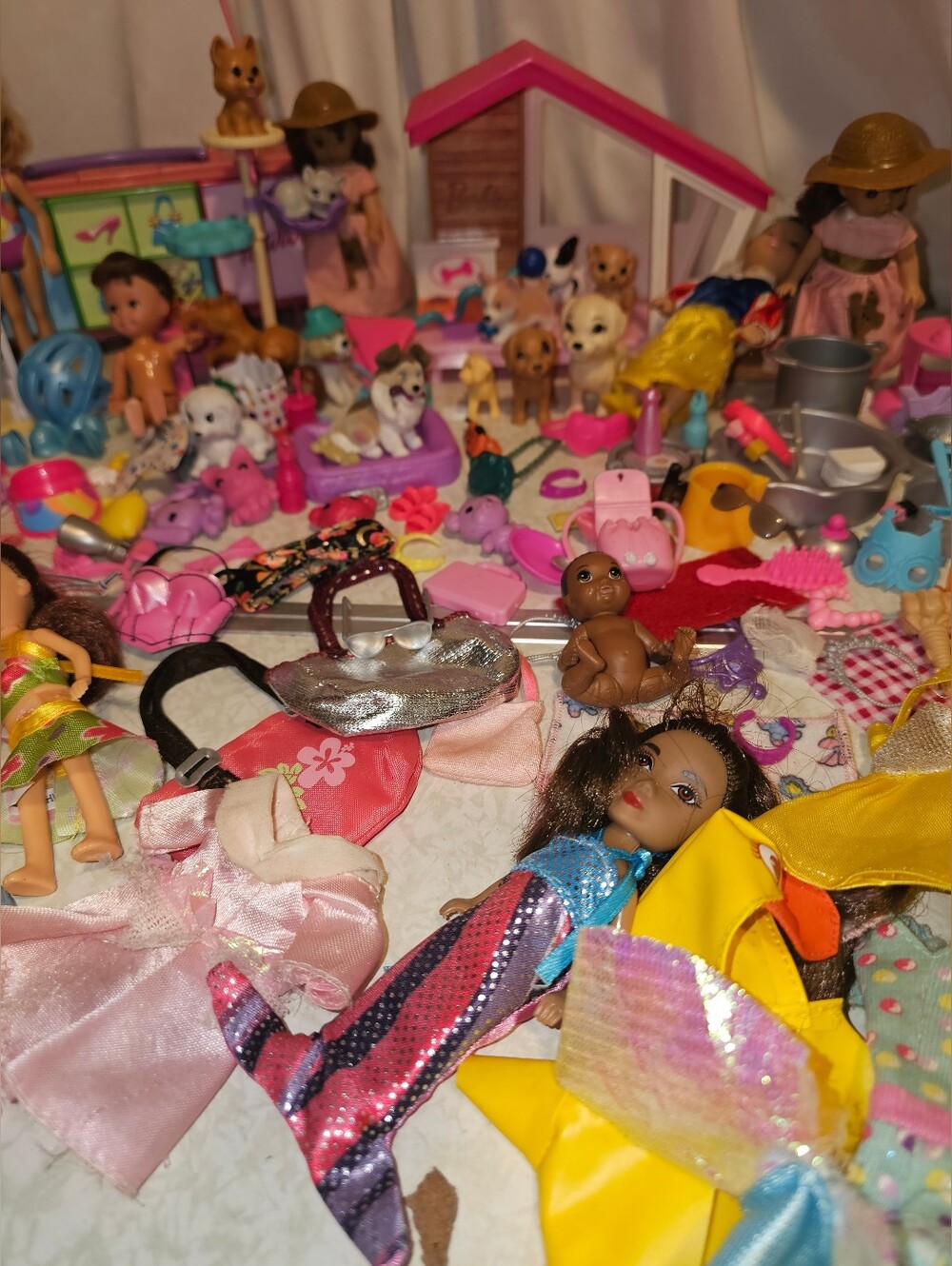 Barbie Friends Doll & Pets Playset Cloths & Accessories